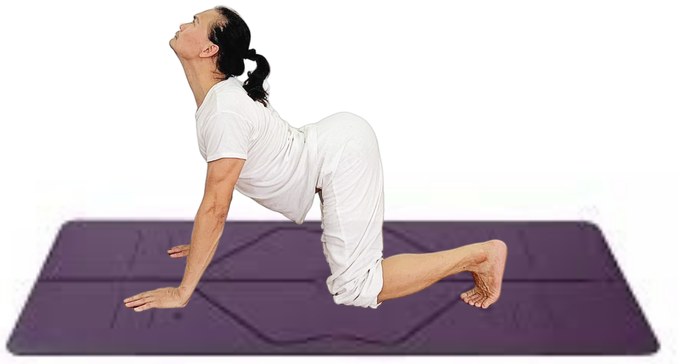 Tư thế Con Bò — Yin Yoga
