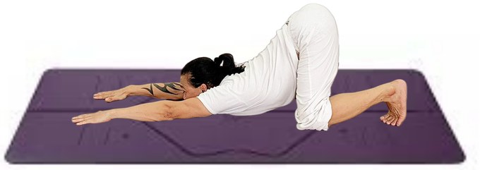 Tư thế Con Mèo — Yin Yoga