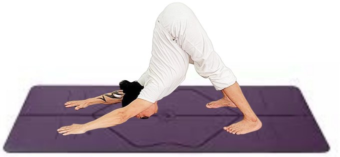 Tư thế Chó Úp Mặt — Yin Yoga