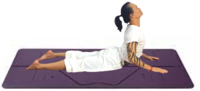 Tư thế Con Rắn B — Yin Yoga