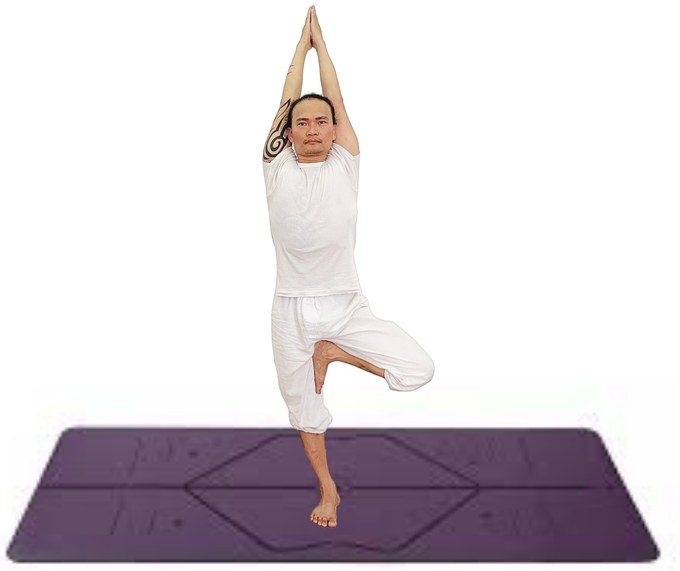 Tư thế Cái Cây — Yin Yoga